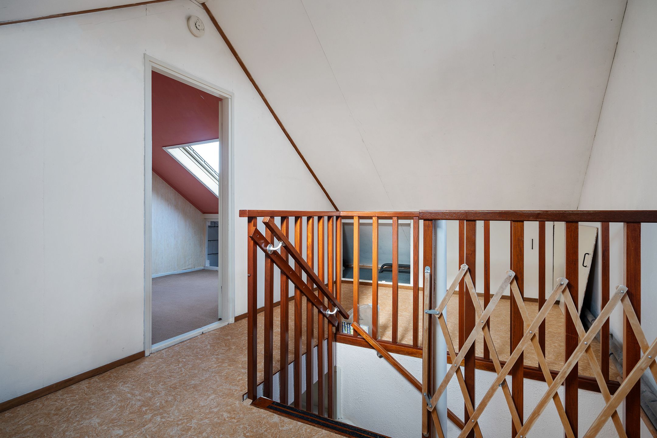 Foto 24 van Botter 38 62