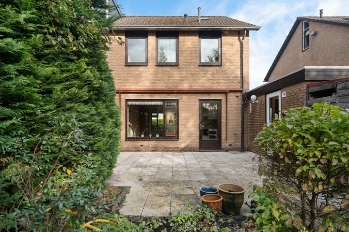 Photo 2 of Botter 38 62