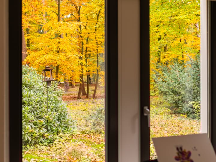 Foto 16 van Palisiumpark 7