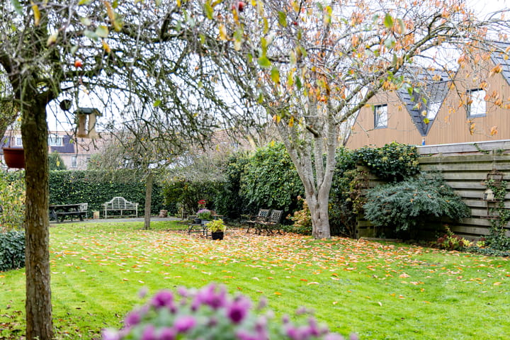 Photo 80 of Oosterblokker 100