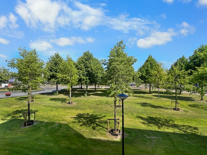 Foto 20 van Agoraweg 103