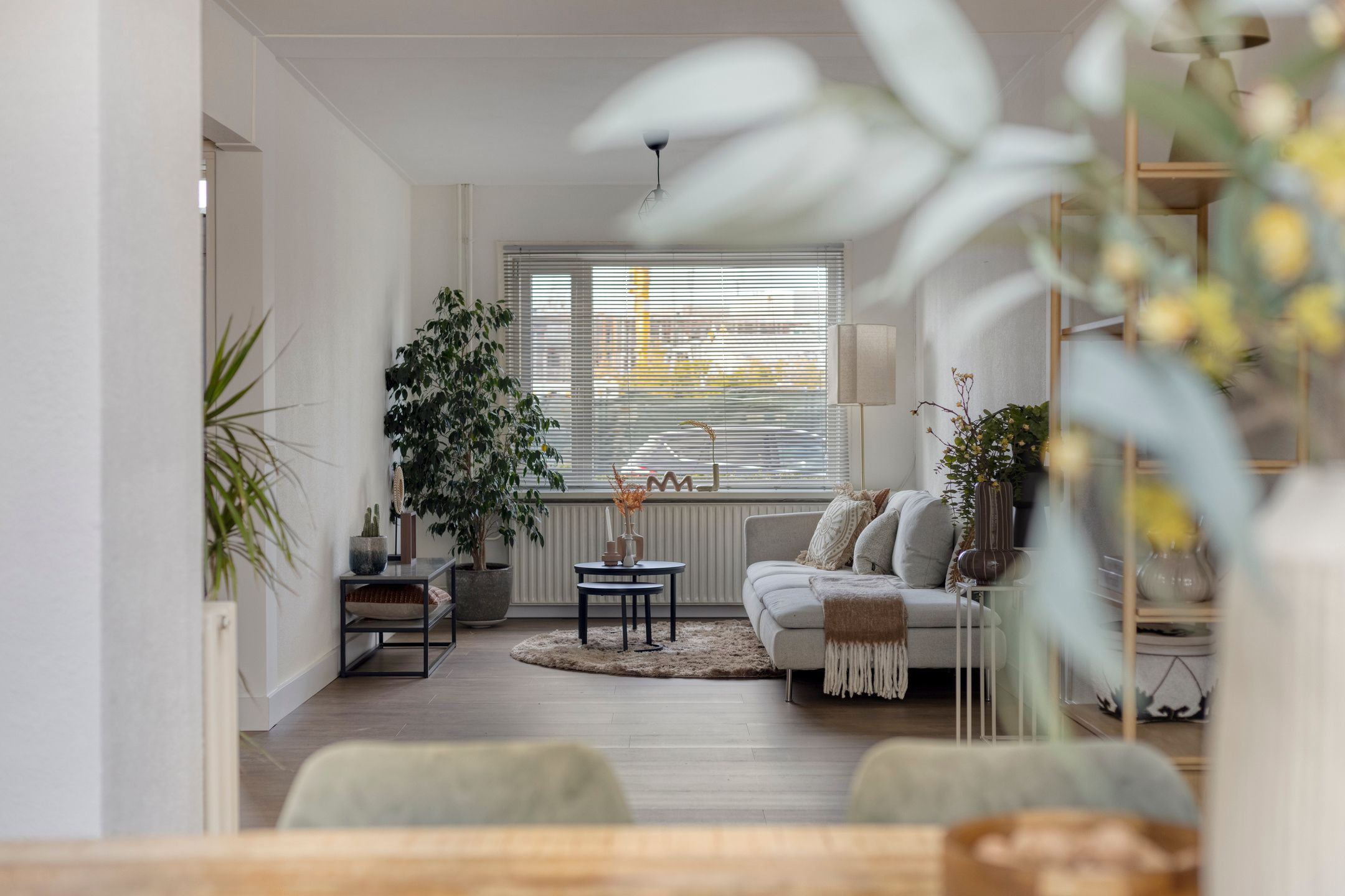 Foto 15 van Verwerstraat 63