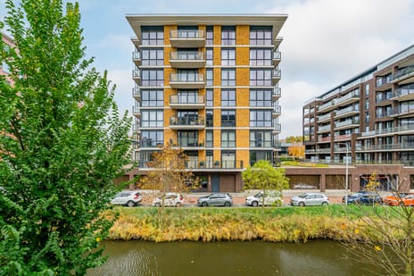 undefined main image