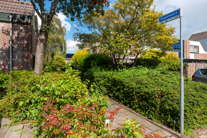 Foto 32 van Koggewaard 197