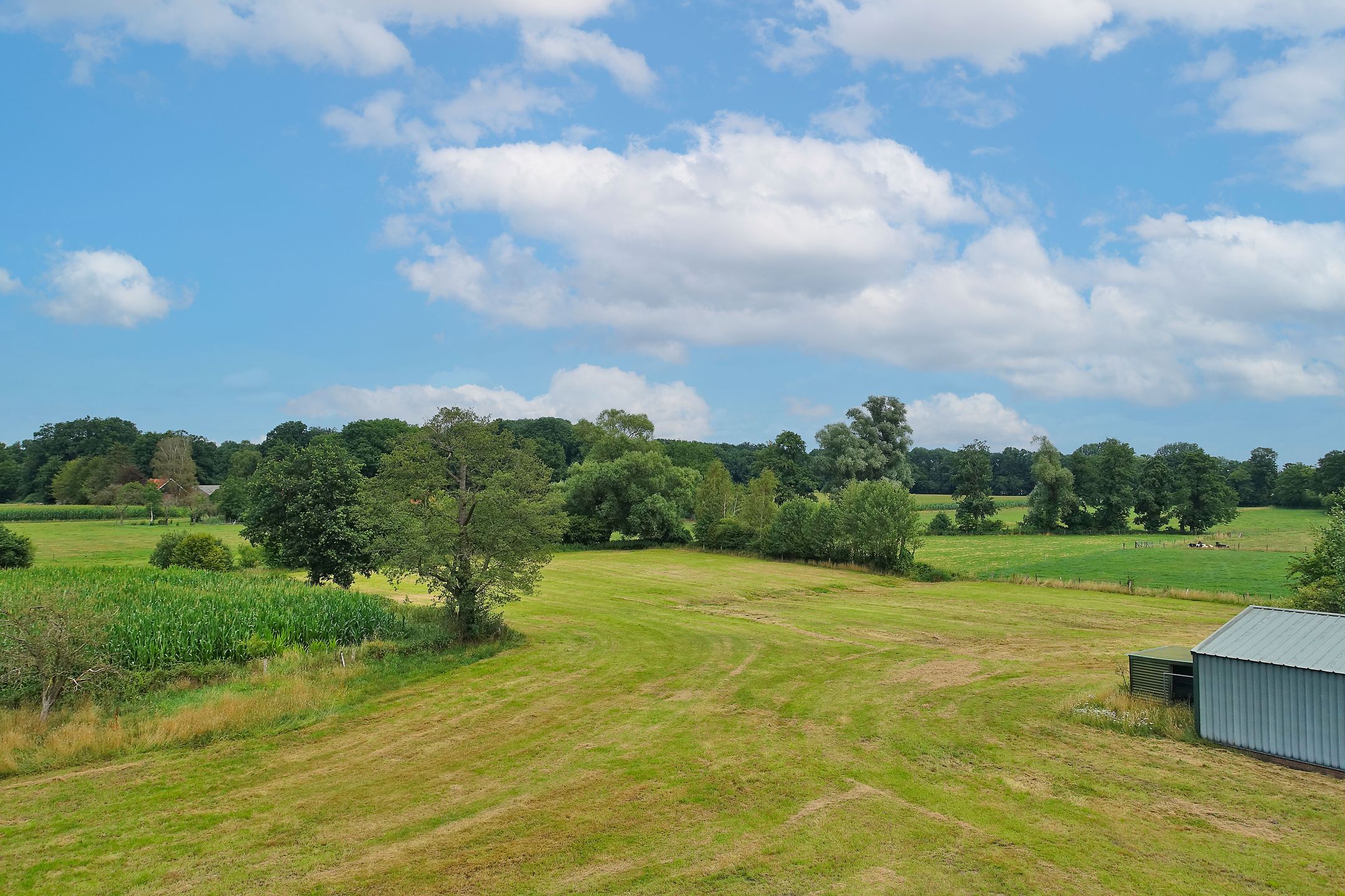 Foto 3 van Oldenzaalsestraat 118