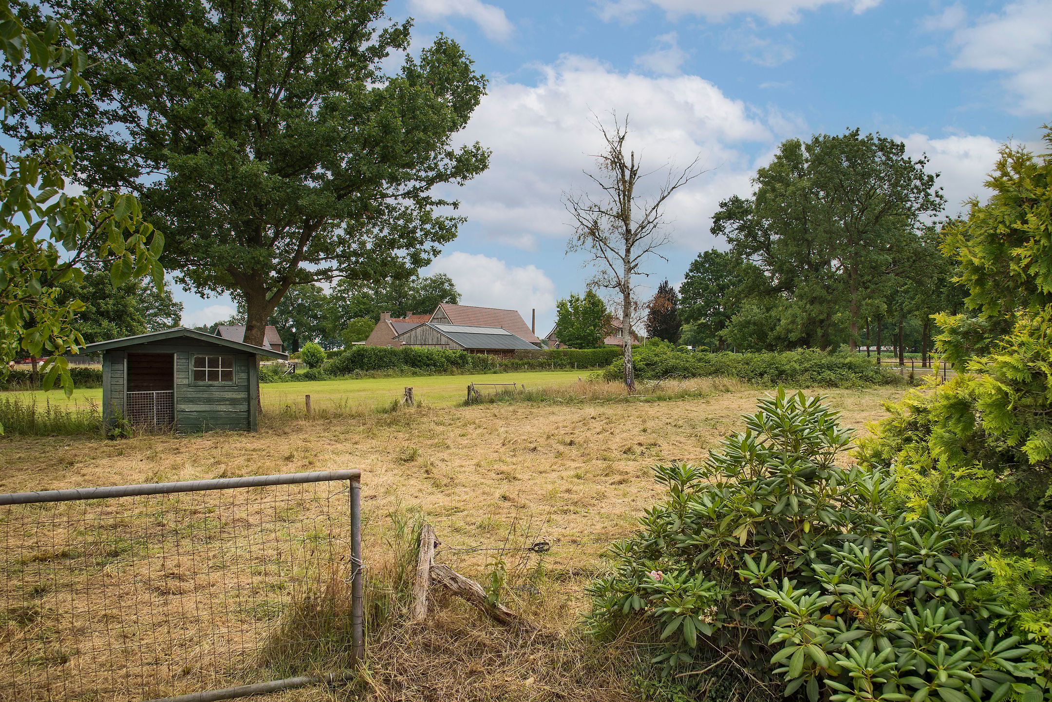 Foto 9 van Oldenzaalsestraat 118