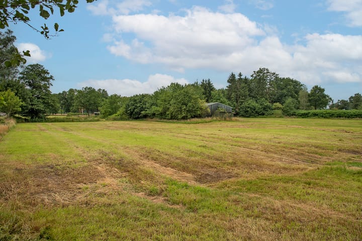 Photo 17 of Oldenzaalsestraat 118