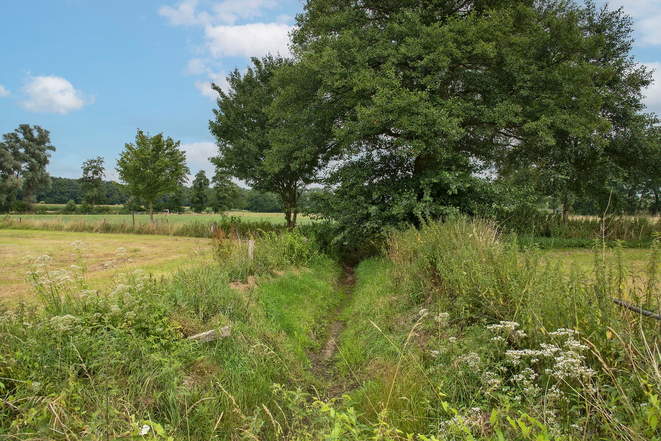 Foto 24 van Oldenzaalsestraat 118