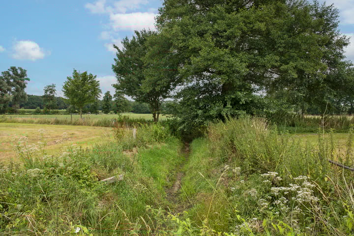 Photo 24 of Oldenzaalsestraat 118