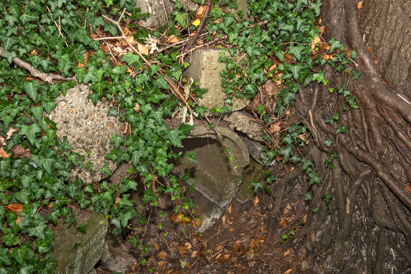 Foto 25 van Oldenzaalsestraat 118