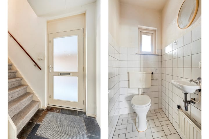 Foto 9 van De Boomklever 6