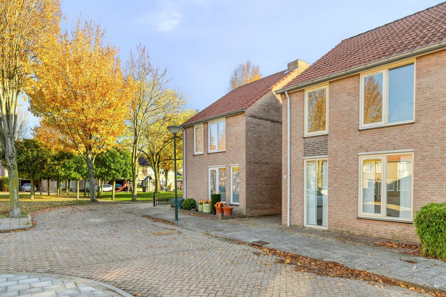 Foto 19 van De Boomklever 6