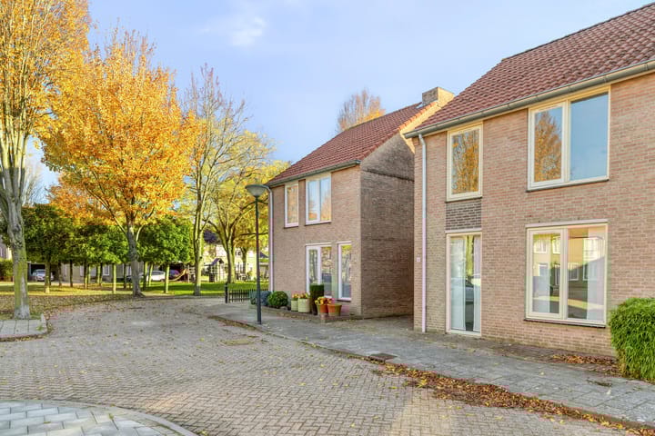 Foto 19 van De Boomklever 6