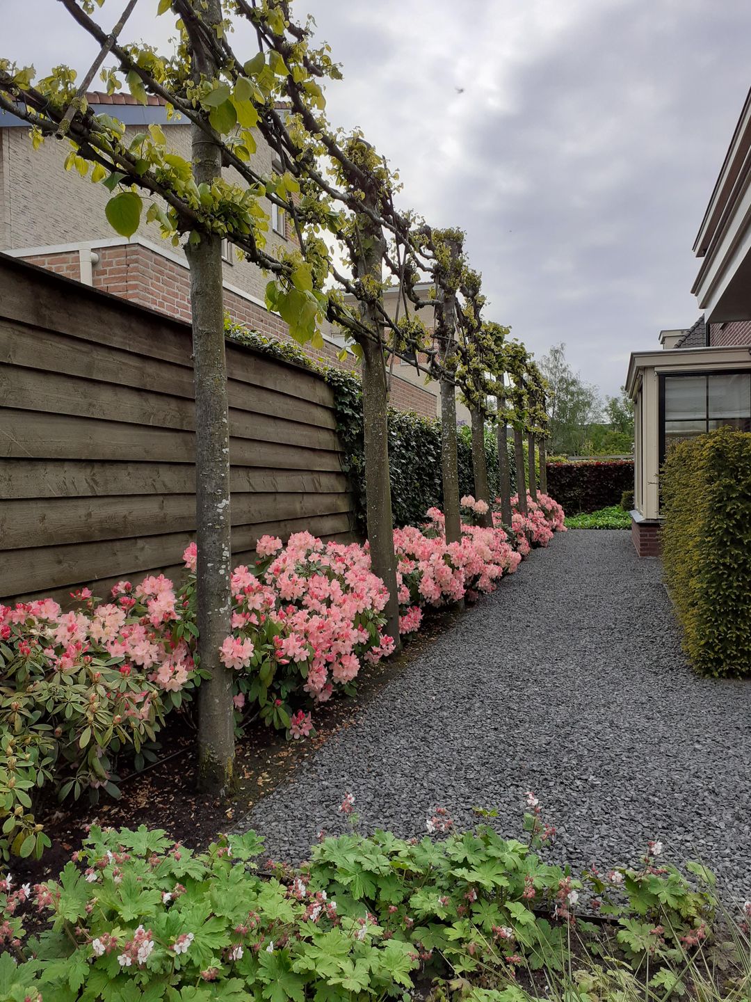 Foto 52 van Wethouder van Hekezenlaan 13