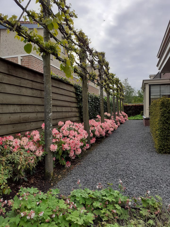 Photo 52 of Wethouder van Hekezenlaan 13