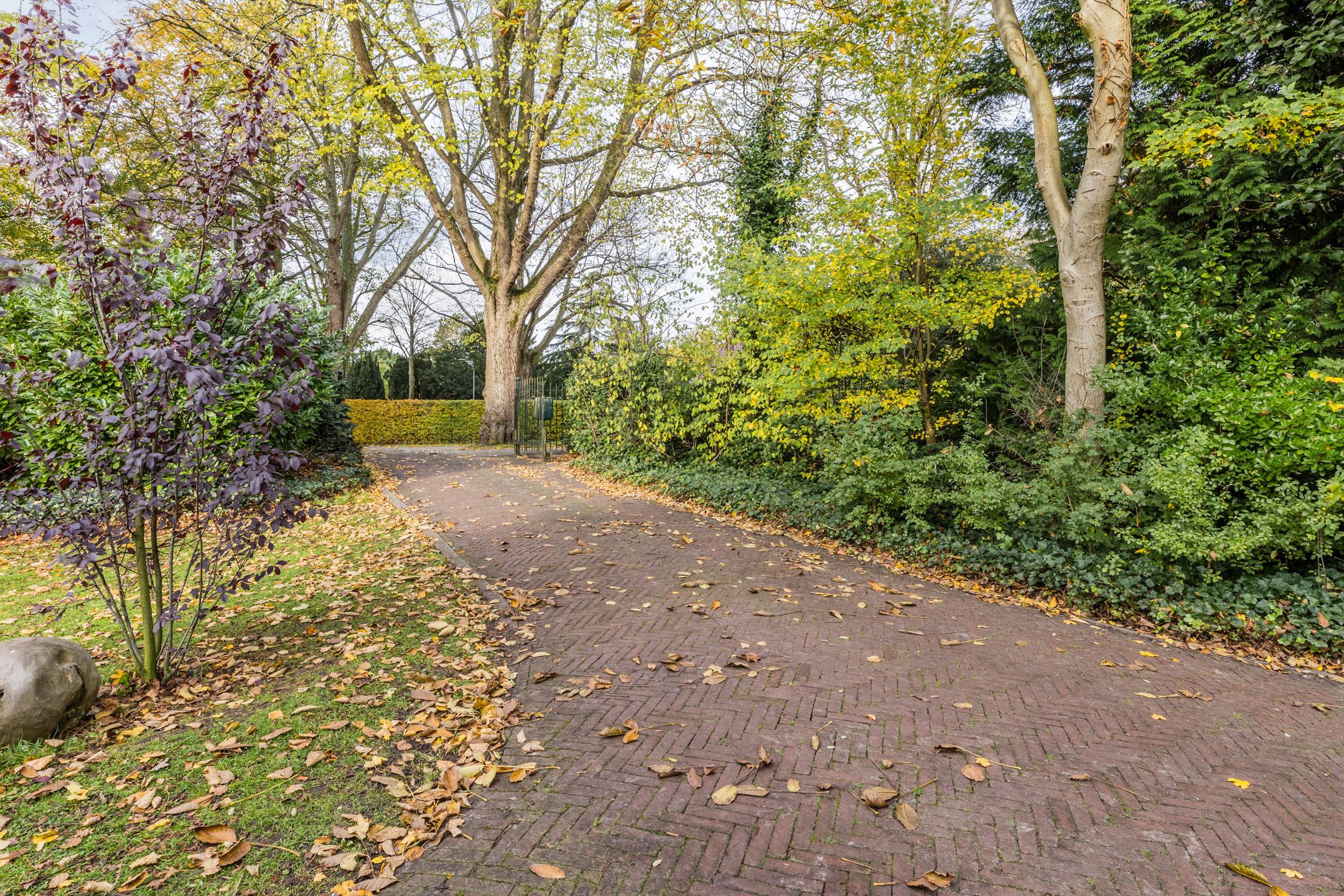 Photo 63 of Burgemeester den Texlaan 7