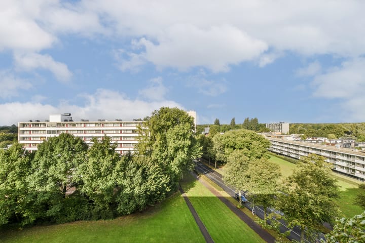 Foto 13 van Bevelandselaan 141