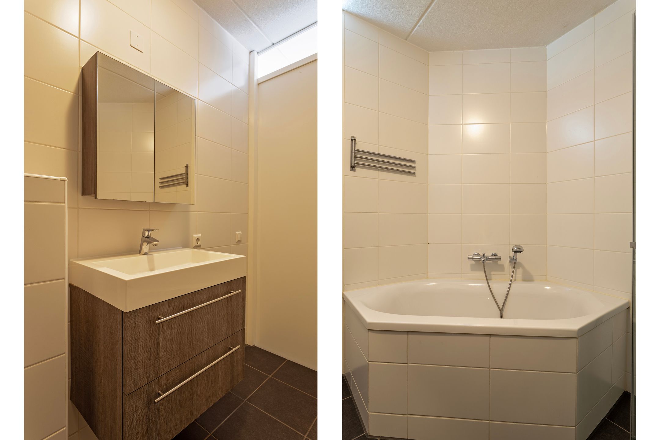 Foto 15 van De Dorsvlegel 6