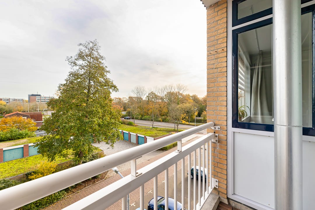 Foto 26 van Ferdinandus Gomes Alemanstraat 36