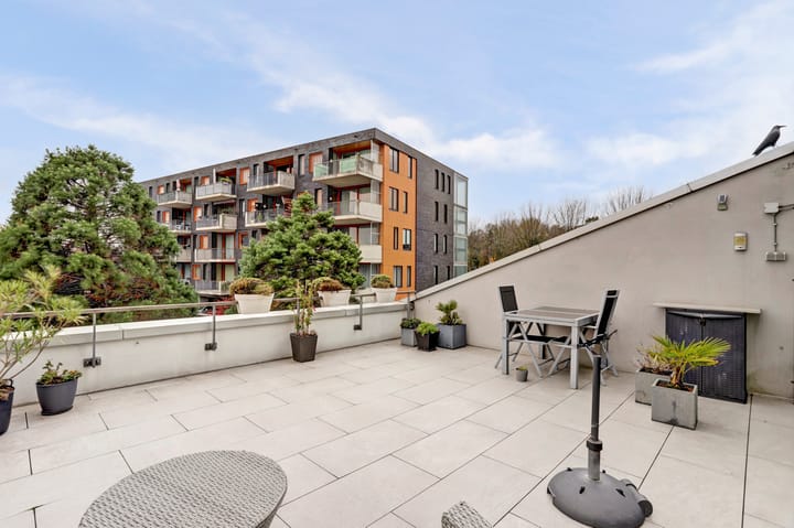 Photo 16 of Oosterbakenpad 28