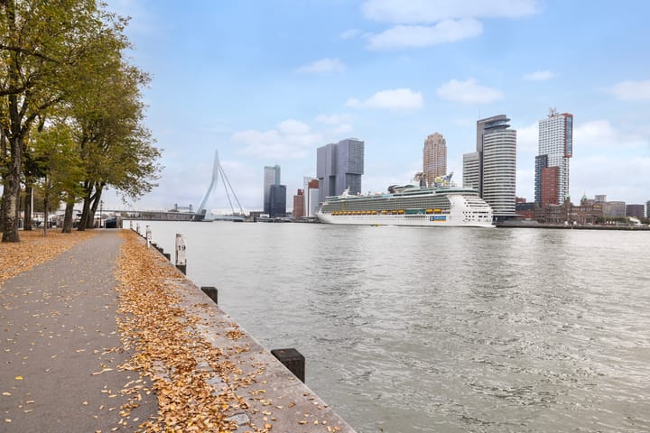 Foto 1 van Landverhuizersplein 53