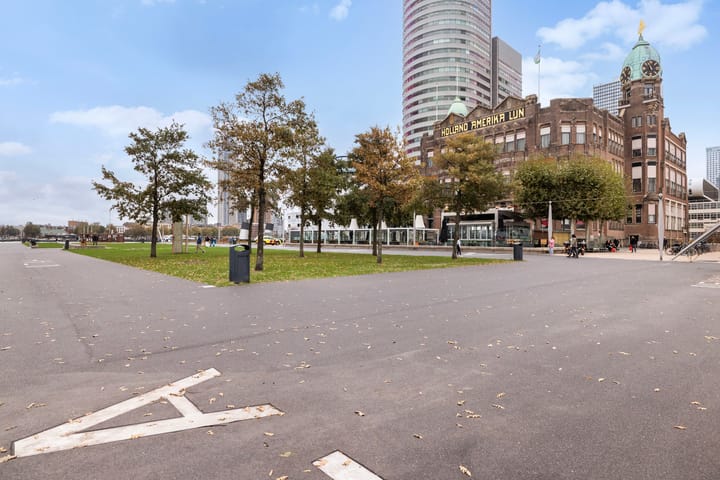 Foto 3 van Landverhuizersplein 53