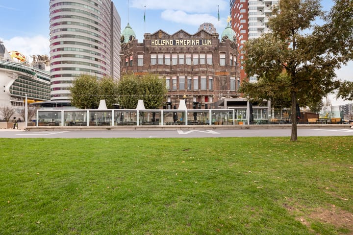 Foto 4 van Landverhuizersplein 53