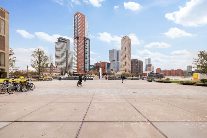 Foto 6 van Landverhuizersplein 53