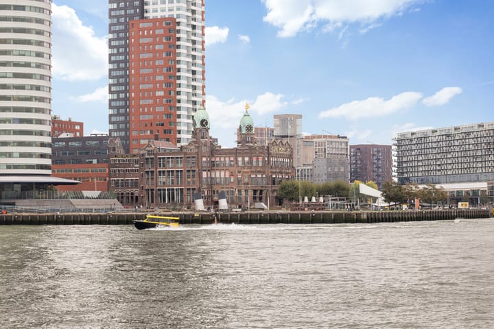 Foto 7 van Landverhuizersplein 53