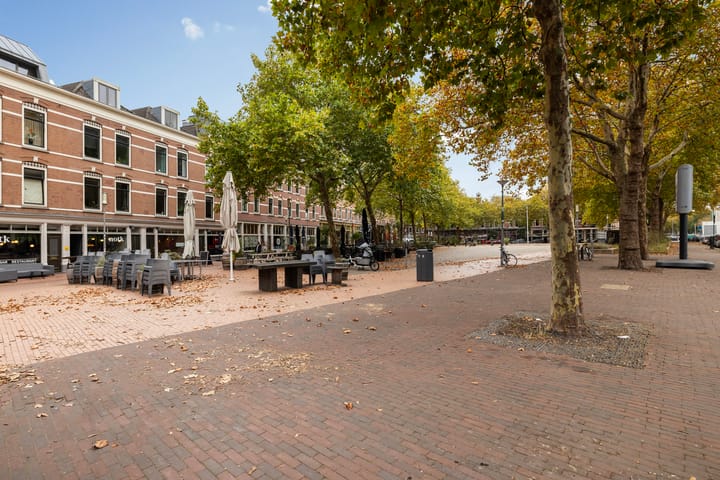 Foto 50 van Landverhuizersplein 53