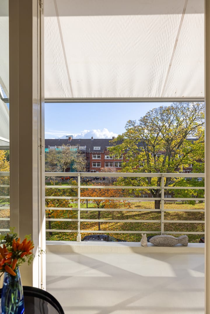 Foto 14 van Statensingel 169-C