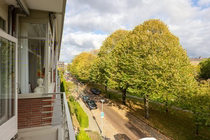 Foto 15 van Statensingel 169-C