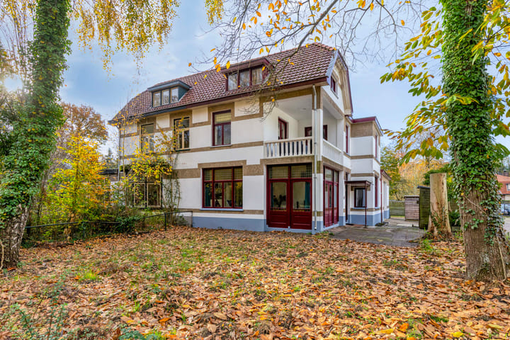 Foto 1 van Driebergsestraatweg 45-A