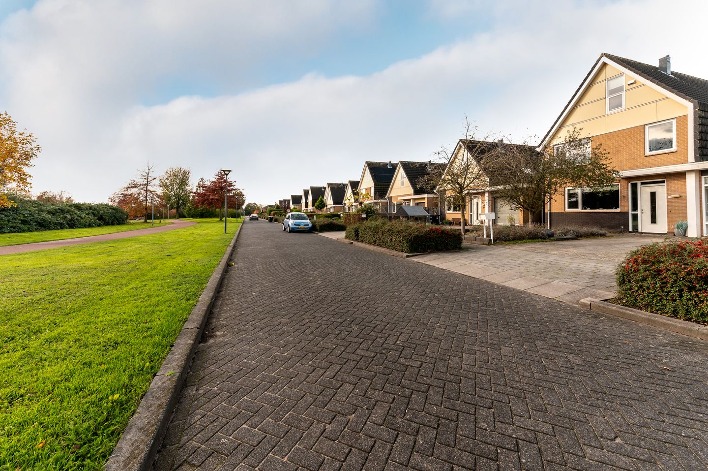 Foto 49 van Overcinge 50