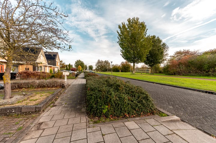 Foto 50 van Overcinge 50