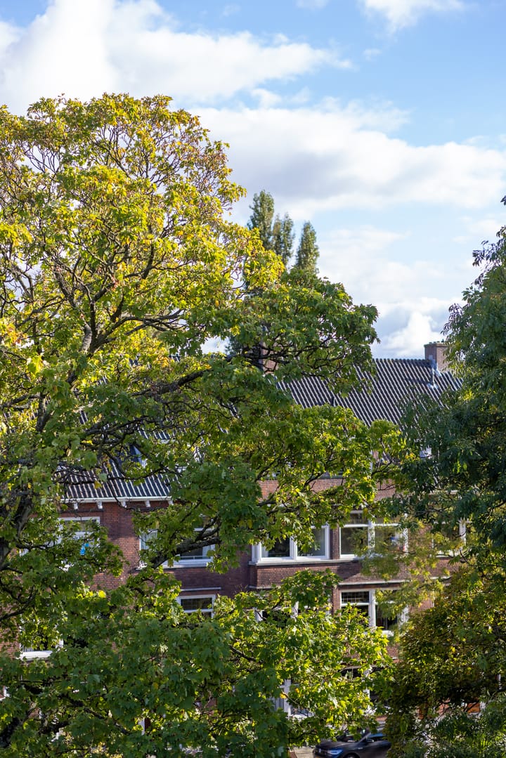 Foto 65 van Statensingel 169-C