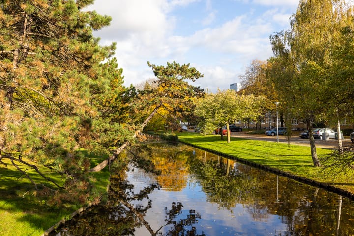 Foto 67 van Statensingel 169-C