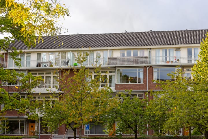 Foto 68 van Statensingel 169-C