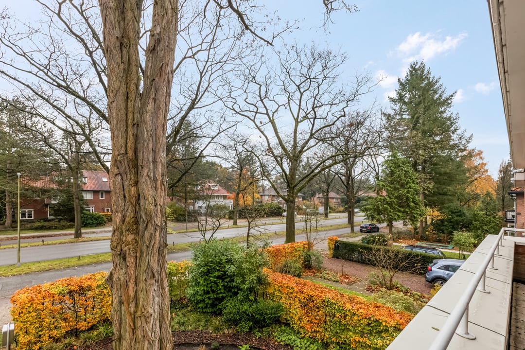 Foto 22 van Oranje Nassaulaan 73