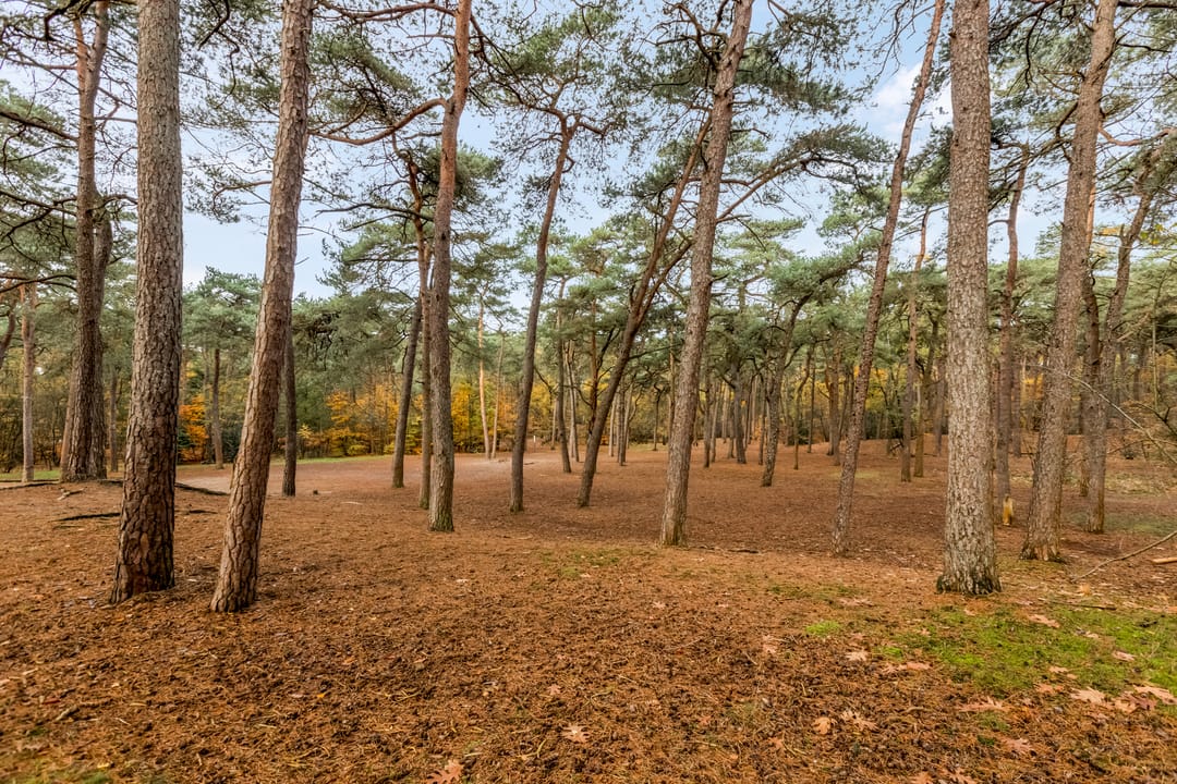 Foto 46 van Oranje Nassaulaan 73