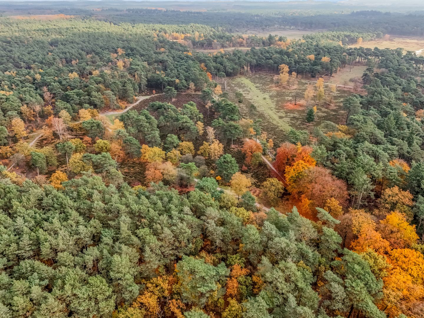 Foto 49 van Oranje Nassaulaan 73