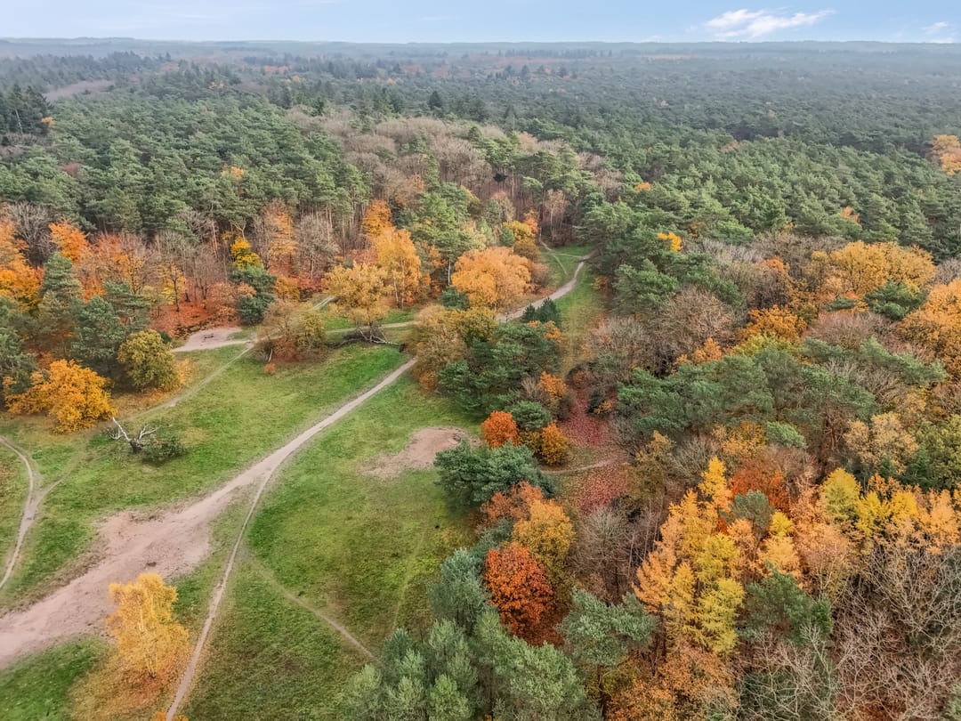 Foto 52 van Oranje Nassaulaan 73