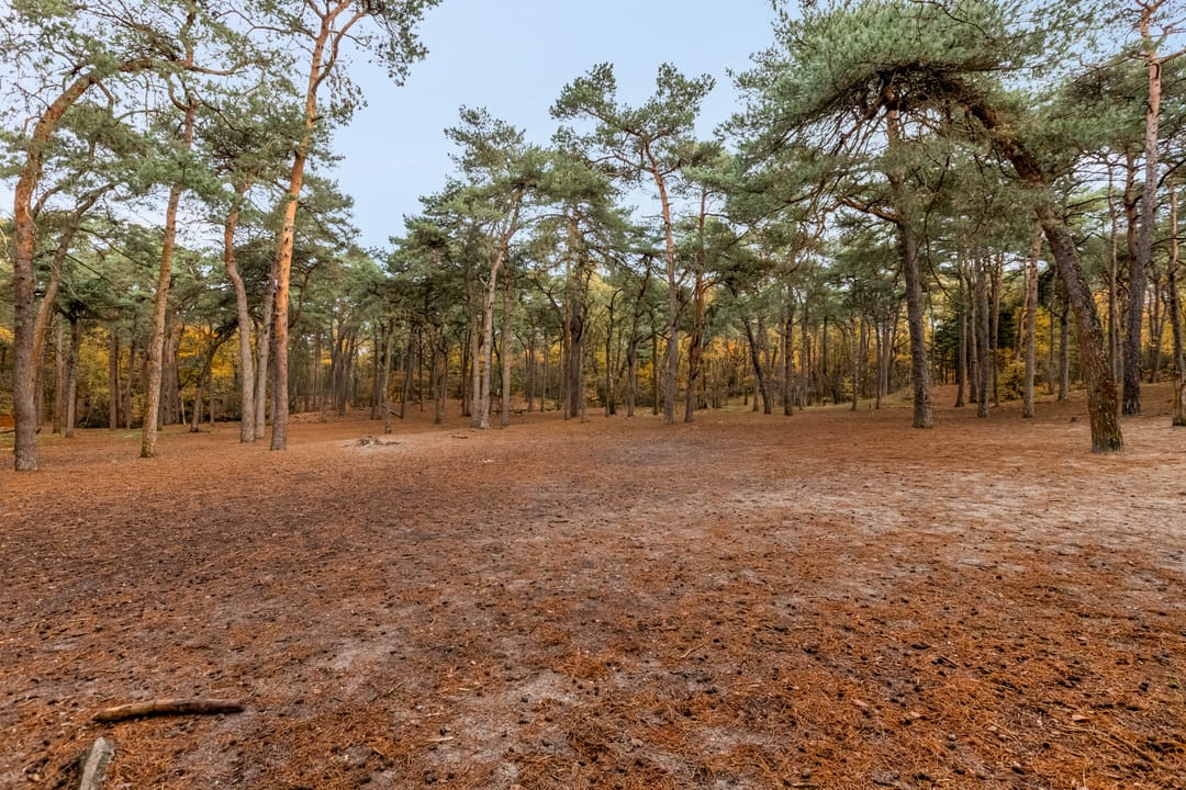 Foto 53 van Oranje Nassaulaan 73