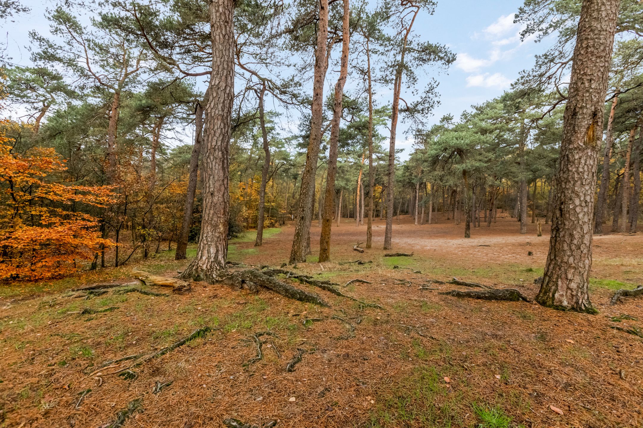 Foto 54 van Oranje Nassaulaan 73