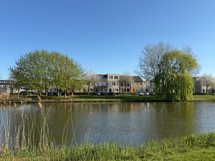 Photo 63 of Carol Vogesgracht 11