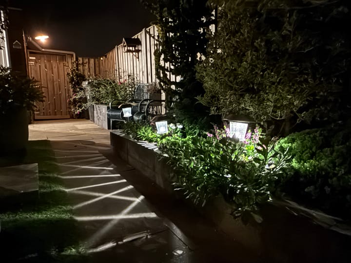 Photo 70 of Carol Vogesgracht 11