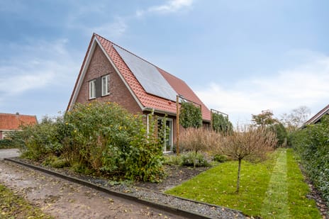 Bethlehemsreed 7 secondary image