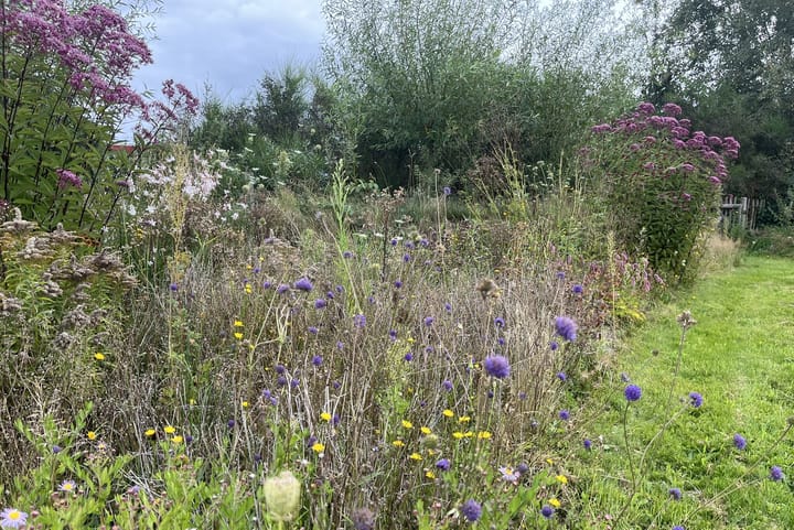 Foto 37 van Bethlehemsreed 7