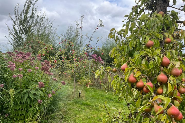 Foto 38 van Bethlehemsreed 7