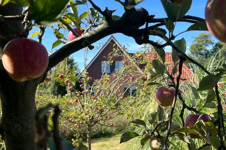 Foto 39 van Bethlehemsreed 7